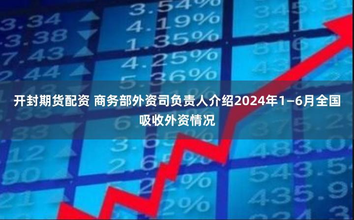 开封期货配资 商务部外资司负责人介绍2024年1—6月全国吸收外资情况