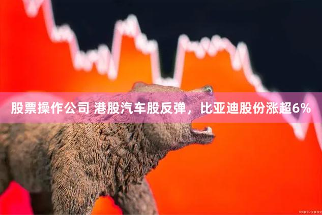 股票操作公司 港股汽车股反弹，比亚迪股份涨超6%